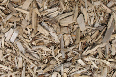 biomass boilers Arlescote